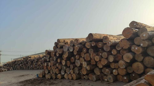 木方采购如何选择合适的木材加工厂