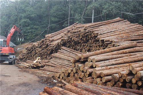湖州木制屋面板 汇鸿生产家具木条 木制屋面板厂家