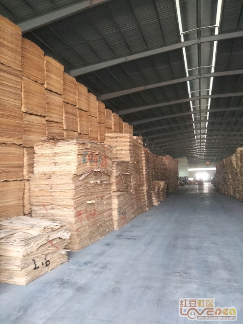 三五镇东融木材产业园
